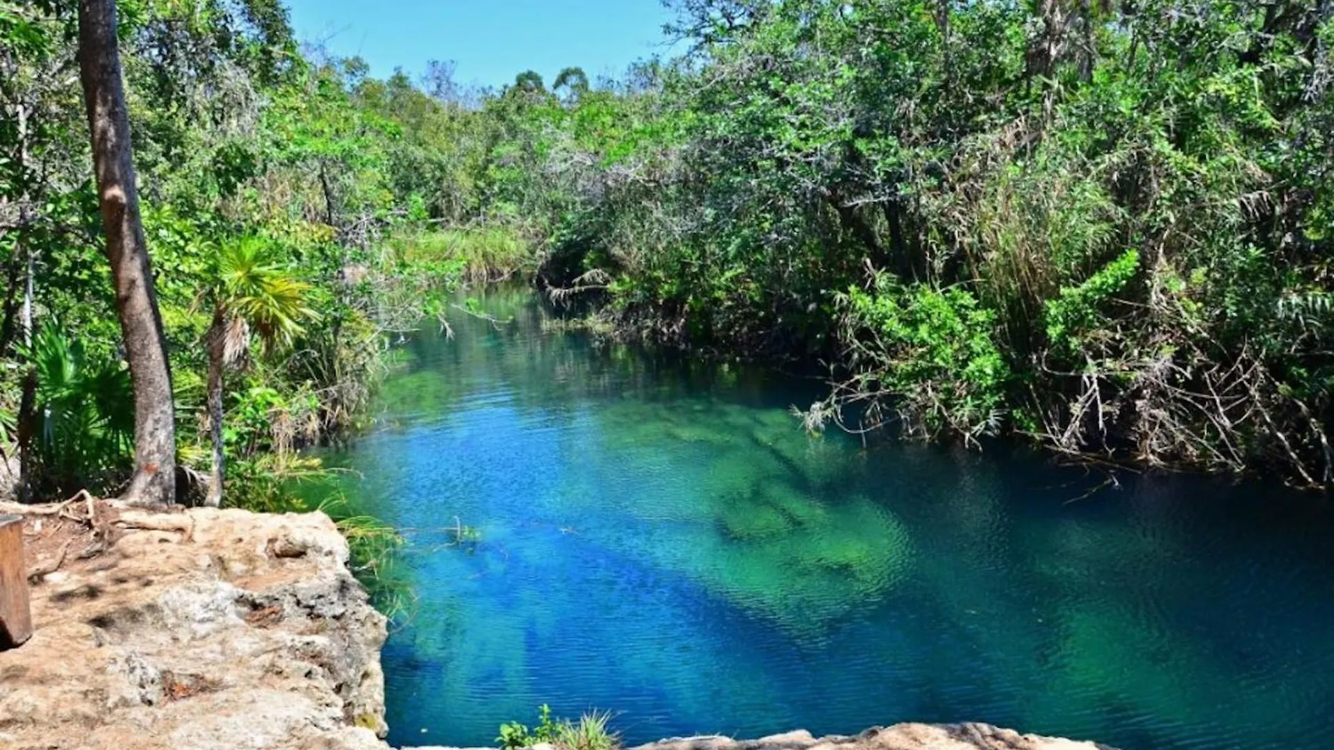 Apartment Stay In The Heart Of Tulum - Best Location In Town